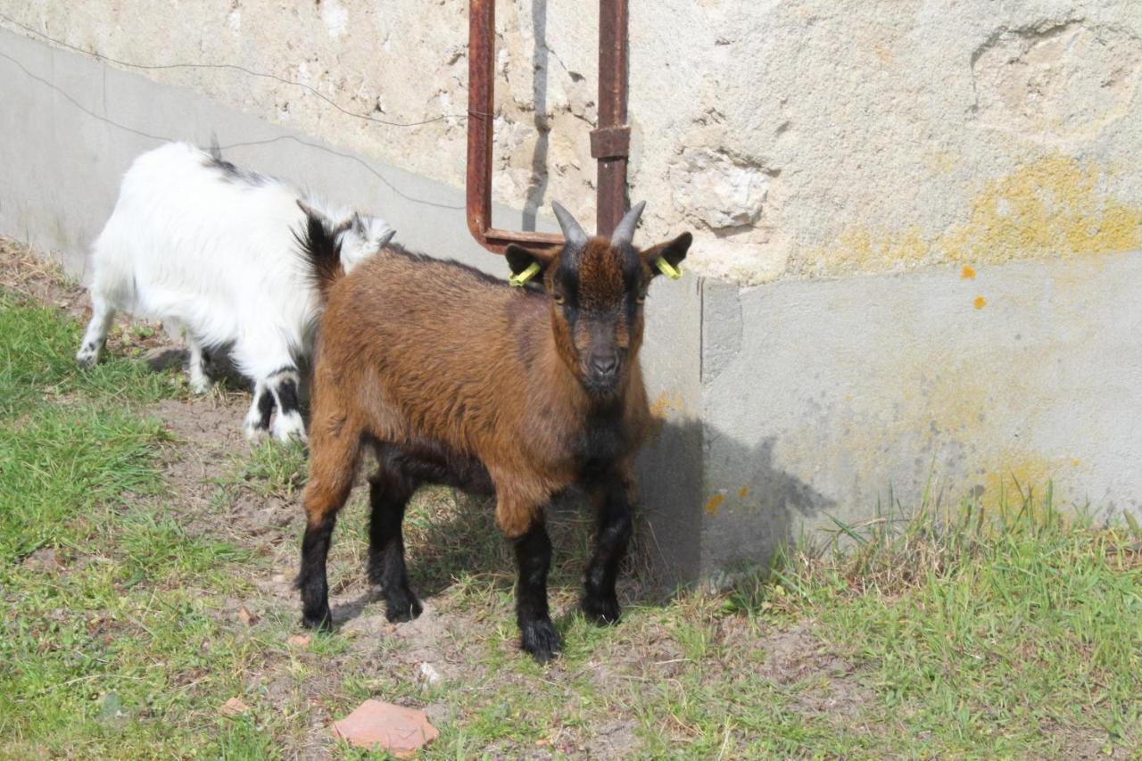 Ferme Des Poulardieres Crouy-sur-Cosson Ngoại thất bức ảnh