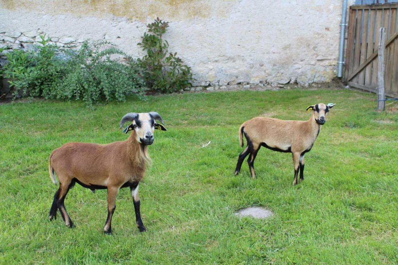 Ferme Des Poulardieres Crouy-sur-Cosson Ngoại thất bức ảnh